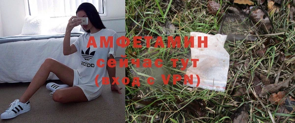 индика Алзамай