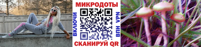 купить  сайты  Петушки  Псилоцибиновые грибы MAGIC MUSHROOMS 